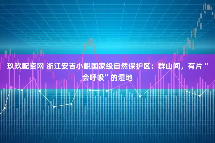 玖玖配资网 浙江安吉小鲵国家级自然保护区：群山间，有片“会呼吸”的湿地
