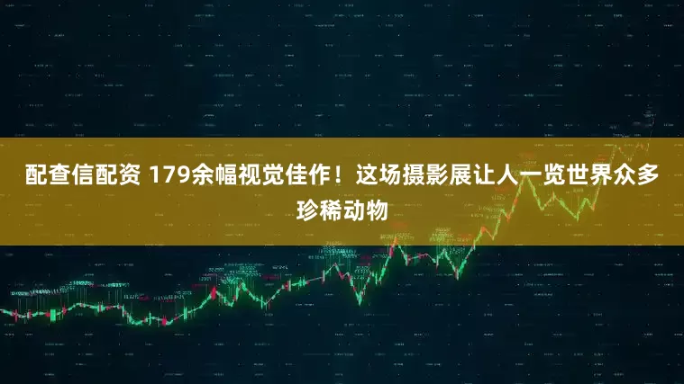 配查信配资 179余幅视觉佳作！这场摄影展让人一览世界众多珍稀动物