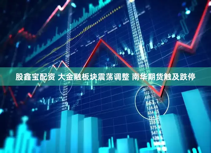 股鑫宝配资 大金融板块震荡调整 南华期货触及跌停