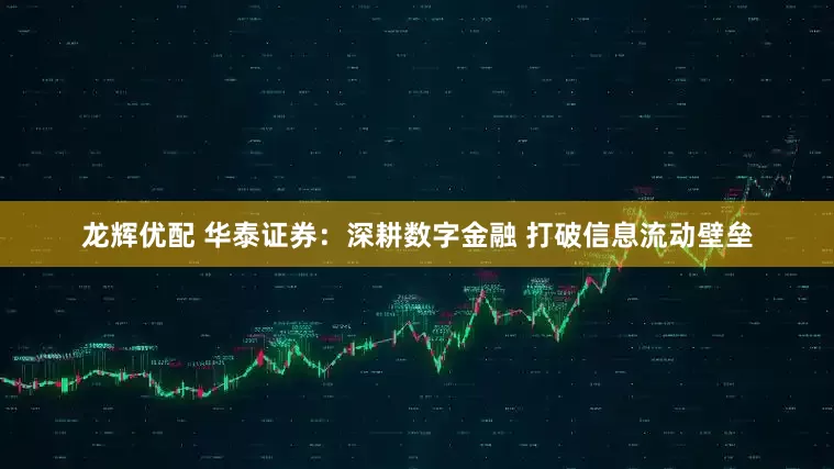 龙辉优配 华泰证券：深耕数字金融 打破信息流动壁垒