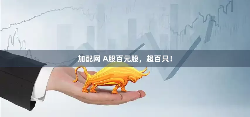 加配网 A股百元股，超百只！